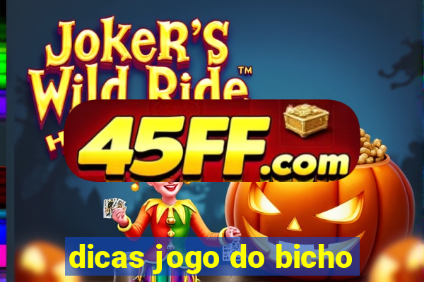 dicas jogo do bicho